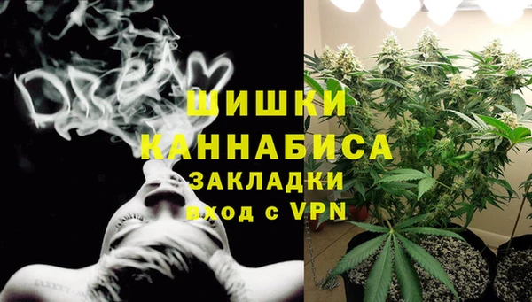 прущие грибы Богородск