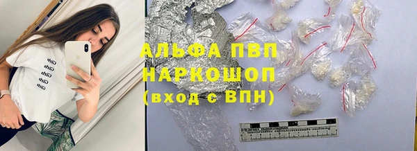прущие грибы Богородск