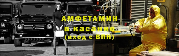 прущие грибы Богородск
