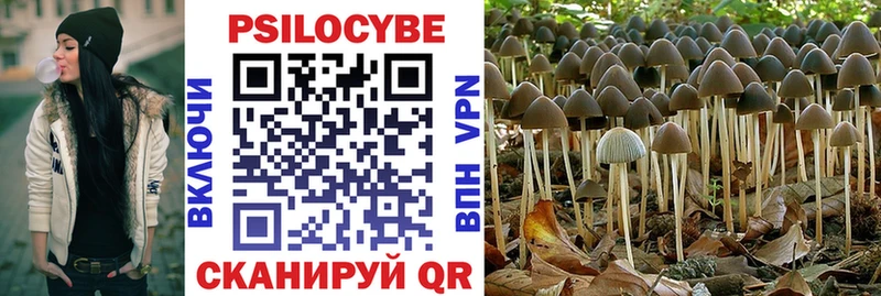 Псилоцибиновые грибы прущие грибы  Волосово 